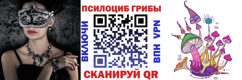 Псилоцибиновые грибы Psilocybe  Купить закладки  Нязепетровск 